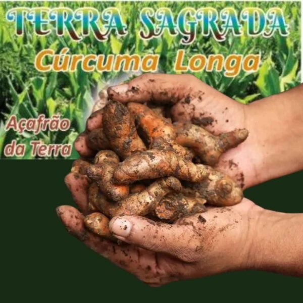 terra sagrada - Imagem 2